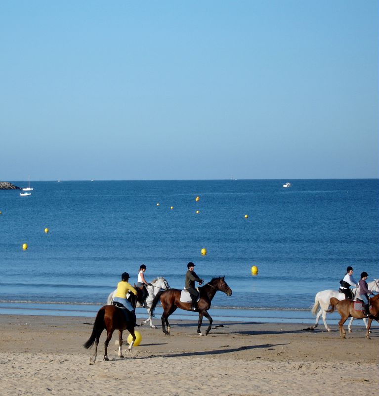 Plage avec chevaux ile de Ré - Maison de l'océan